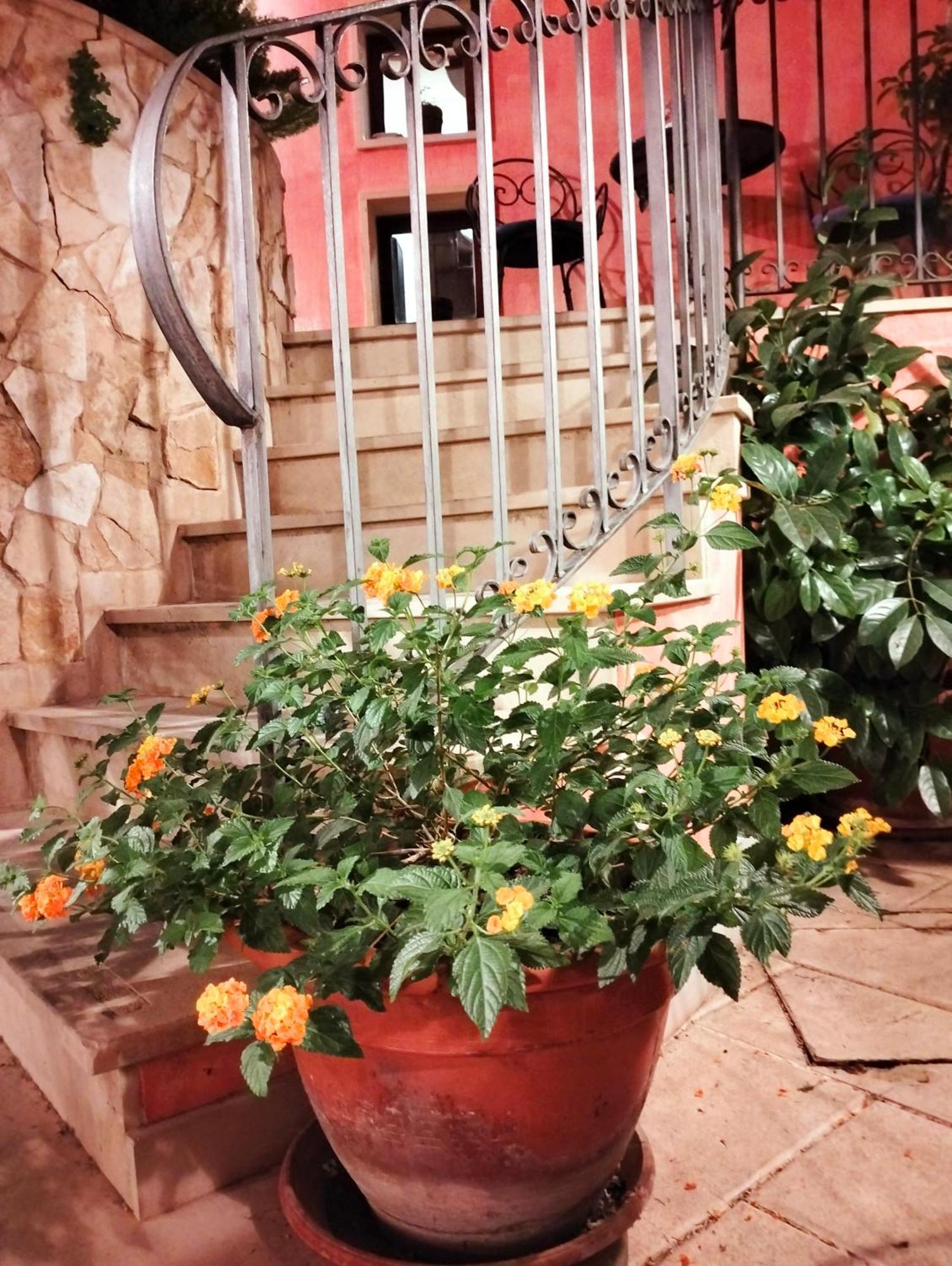Hotel Il Barocco Рагуза Экстерьер фото